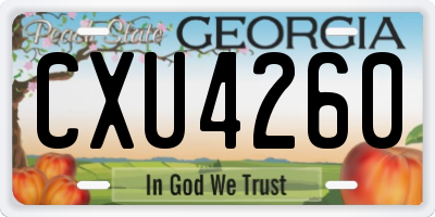 GA license plate CXU4260