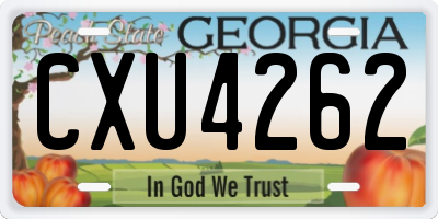 GA license plate CXU4262