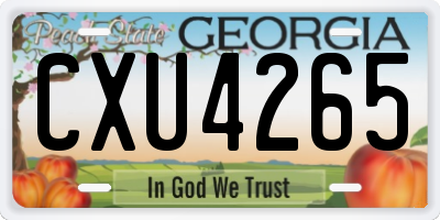 GA license plate CXU4265