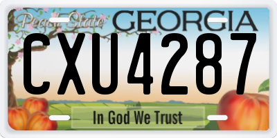 GA license plate CXU4287