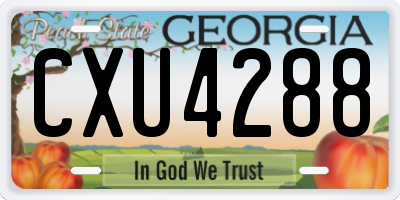 GA license plate CXU4288