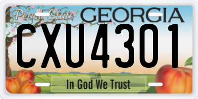 GA license plate CXU4301