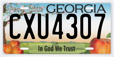 GA license plate CXU4307