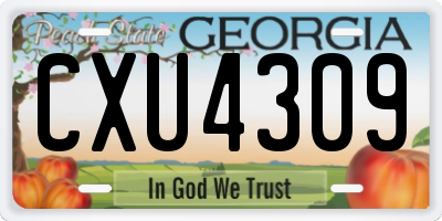 GA license plate CXU4309