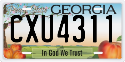 GA license plate CXU4311