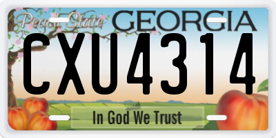 GA license plate CXU4314