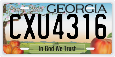 GA license plate CXU4316