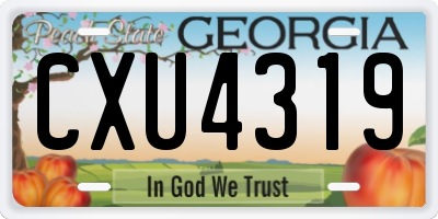 GA license plate CXU4319