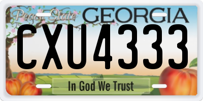 GA license plate CXU4333