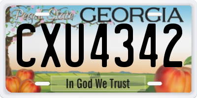 GA license plate CXU4342
