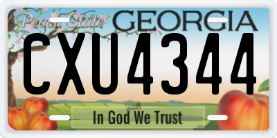 GA license plate CXU4344