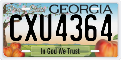 GA license plate CXU4364