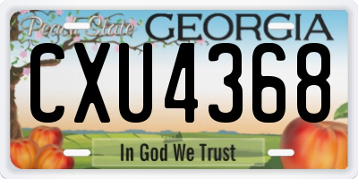 GA license plate CXU4368