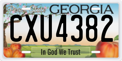 GA license plate CXU4382