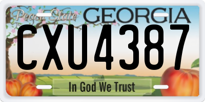 GA license plate CXU4387