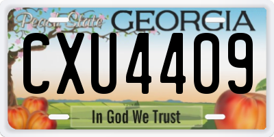 GA license plate CXU4409