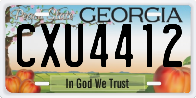 GA license plate CXU4412
