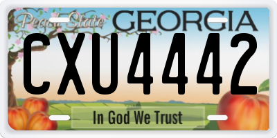 GA license plate CXU4442
