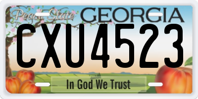 GA license plate CXU4523