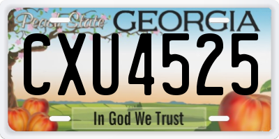 GA license plate CXU4525