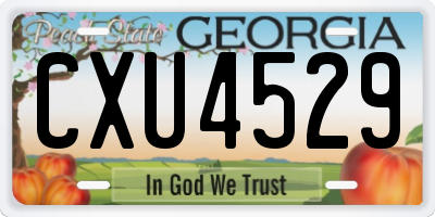 GA license plate CXU4529