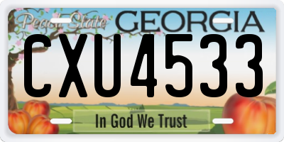 GA license plate CXU4533