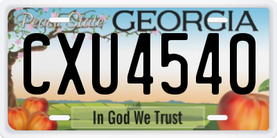 GA license plate CXU4540