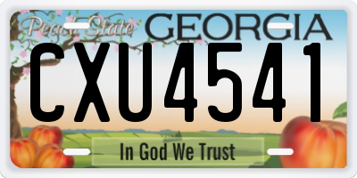 GA license plate CXU4541