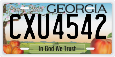 GA license plate CXU4542