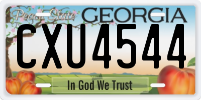 GA license plate CXU4544