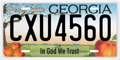 GA license plate CXU4560