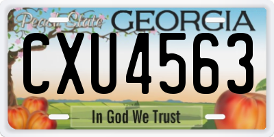 GA license plate CXU4563