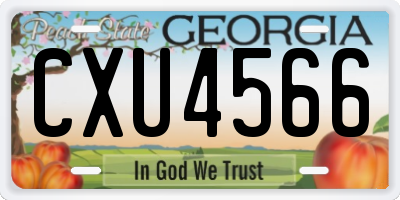 GA license plate CXU4566