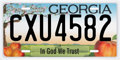 GA license plate CXU4582
