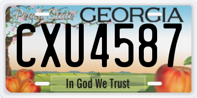 GA license plate CXU4587