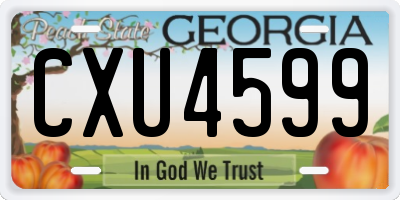 GA license plate CXU4599