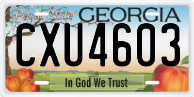 GA license plate CXU4603