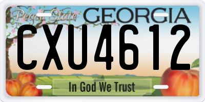 GA license plate CXU4612
