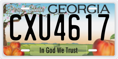 GA license plate CXU4617