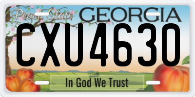 GA license plate CXU4630