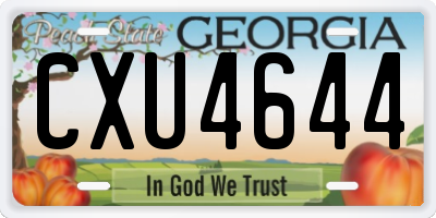 GA license plate CXU4644