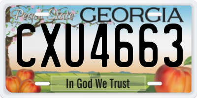 GA license plate CXU4663