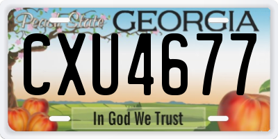 GA license plate CXU4677