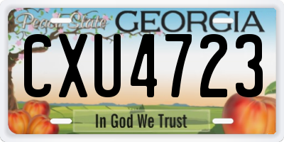GA license plate CXU4723