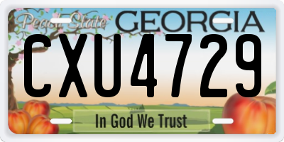 GA license plate CXU4729
