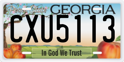 GA license plate CXU5113