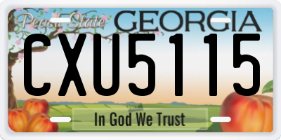 GA license plate CXU5115