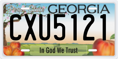 GA license plate CXU5121