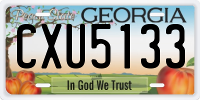 GA license plate CXU5133