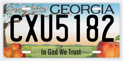 GA license plate CXU5182